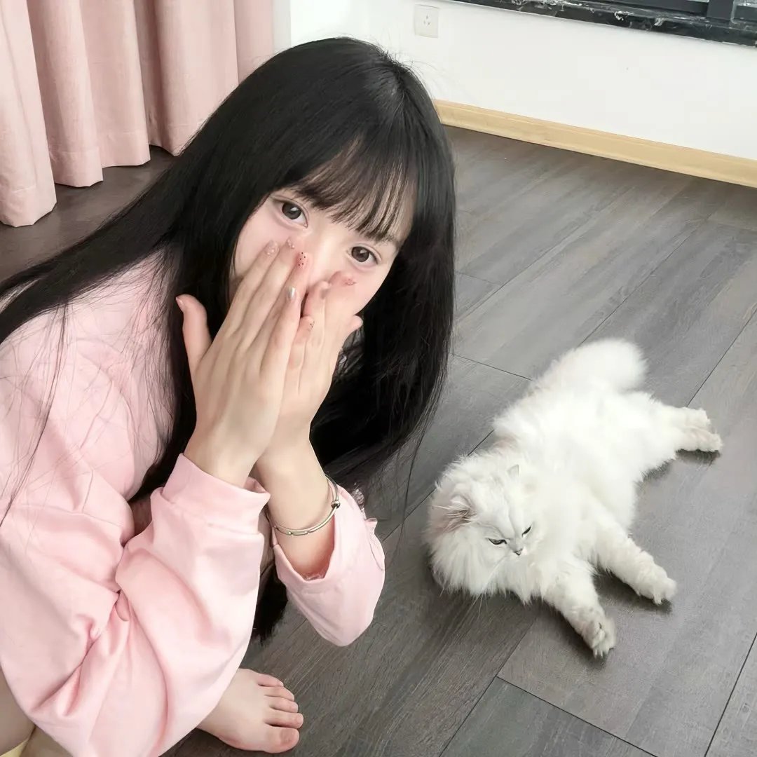 红翼